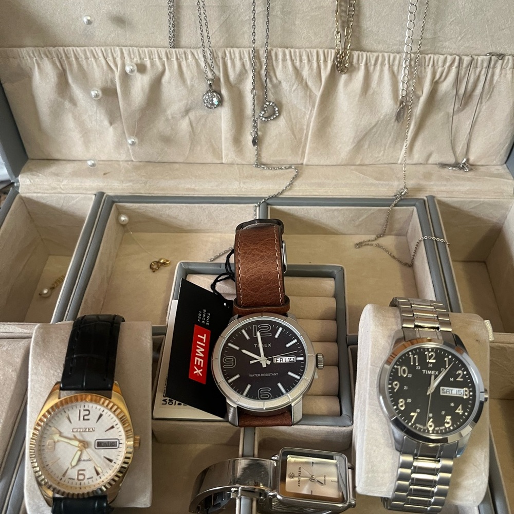 Citizen, Anne Klein, Timex Brown Stylish Bags